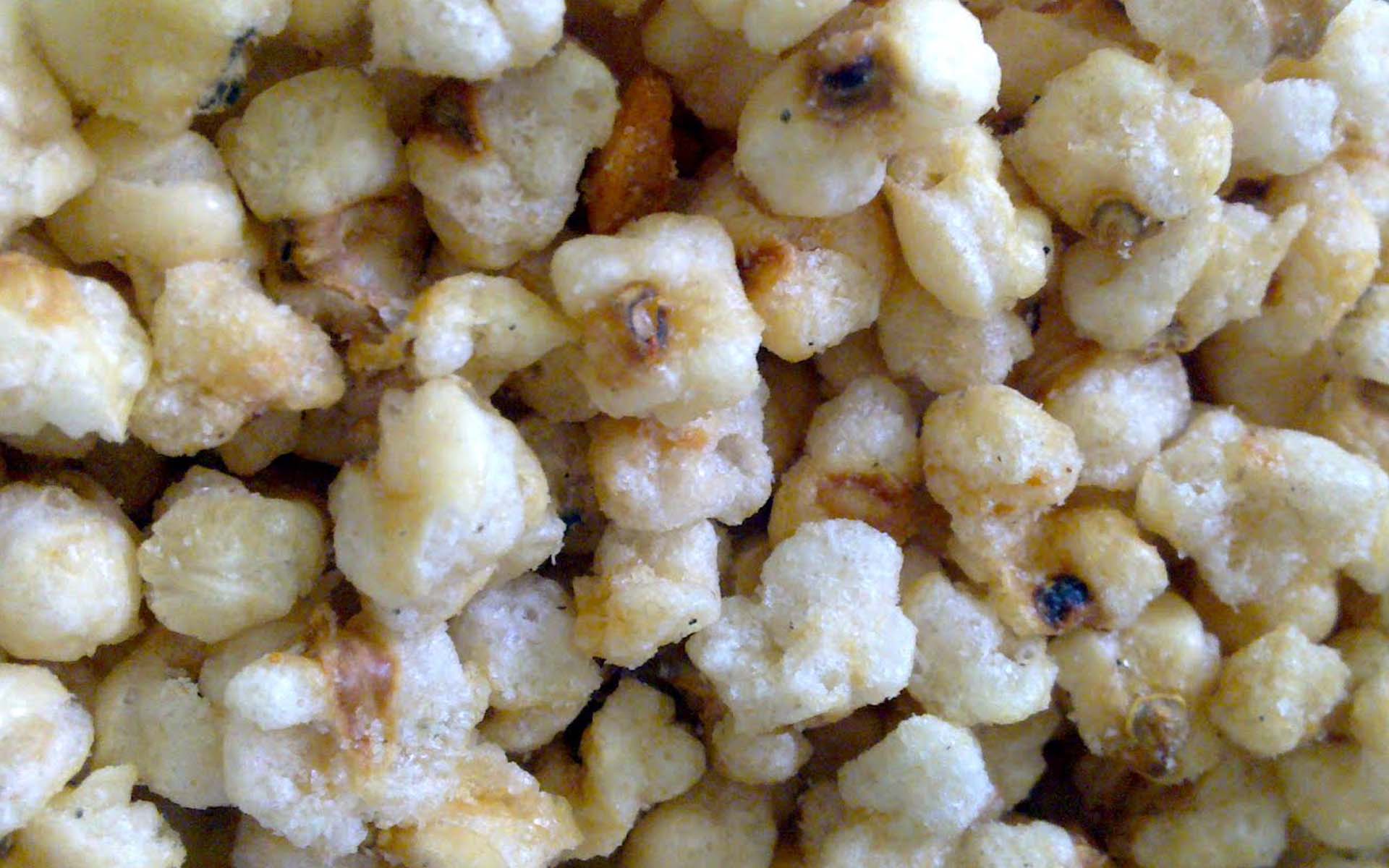 Ambros Ilocos Cornik